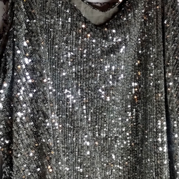 ✨Torrid Silver Sequin Sofie Size 4 Camisole Top - Picture 4 of 6